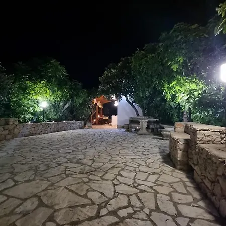 L'ulivo Segreto