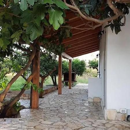 L'ulivo Segreto Gallipolli