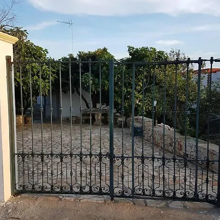 L'ulivo Segreto * Gallipolli